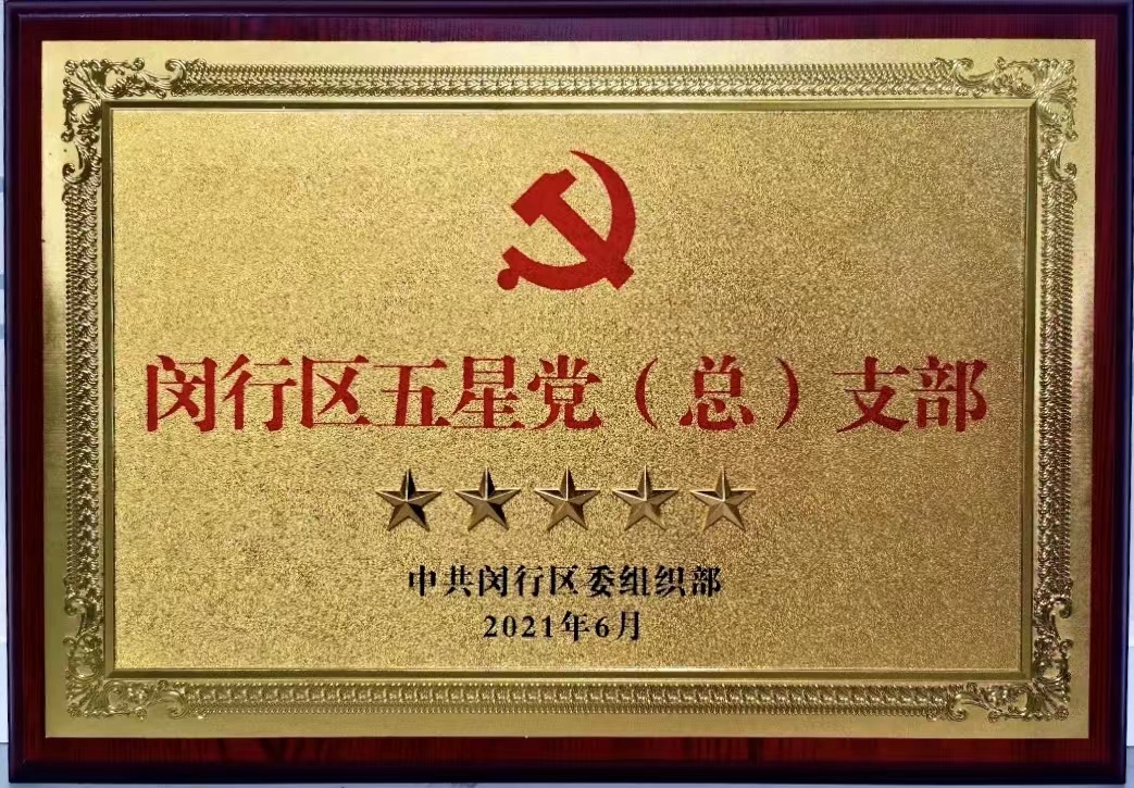 閔行區(qū)五星黨（總）支部